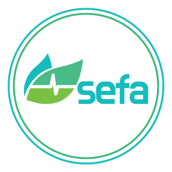 Sefa Limited
